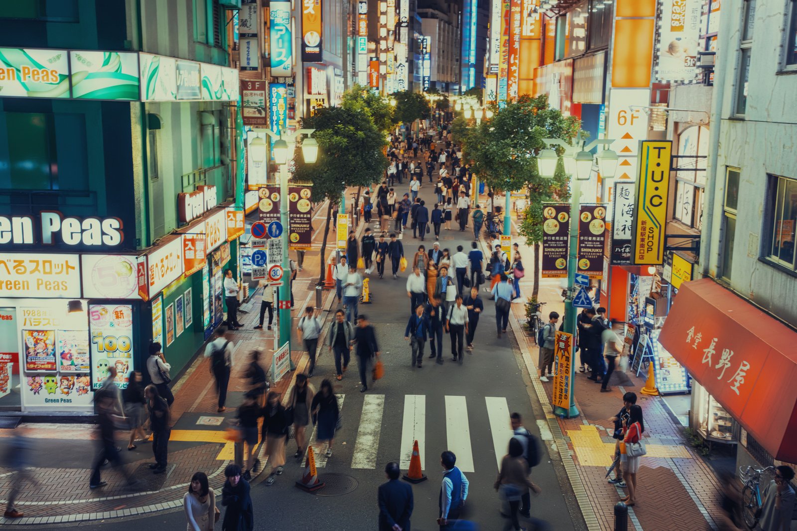 How to Get a Job in Japan from India: A Step-by-Step Guide